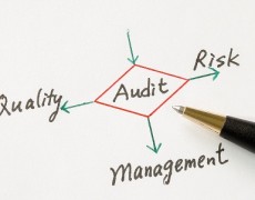 Information Systems Audit Services
